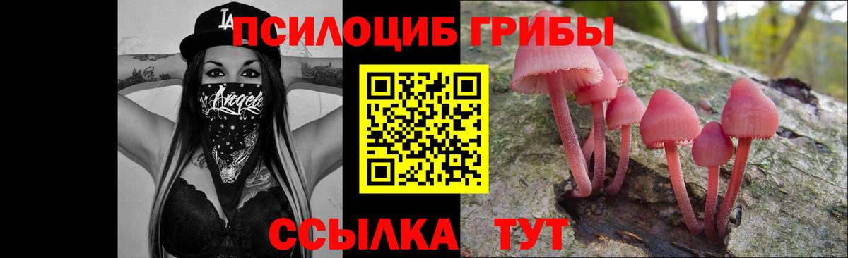 Галлюциногенные грибы Cubensis  Вход с VPN  Светлоград 