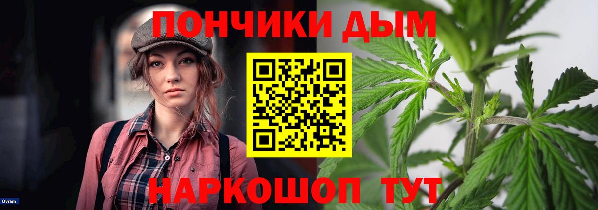 Бошки Шишки тримм  Вход с VPN  МАРИХУАНА OG Kush  Светлоград  МАРИХУАНА планчик 